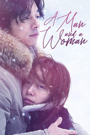 A Man and A Woman (2016) Dual Audio | Hindi Full Movie BluRay [950MB]