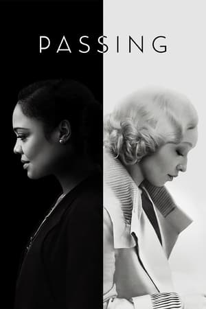 Passing 2021 Dual Audio | Hindi Full Movie Web-DL 320MB
