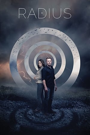 Radius (2017) Dual Audio | Hindi Full Movie BluRay [870MB]